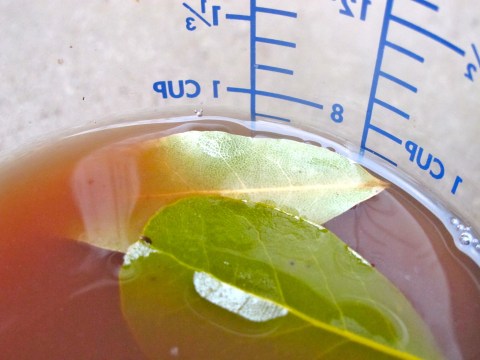 IMG_3218 bean stock, vegan stock, vgourmet, Ruth Richardson