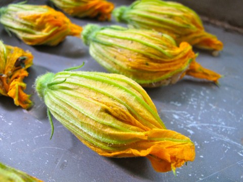 IMG_4646 vegan stuffed zucchini blossoms