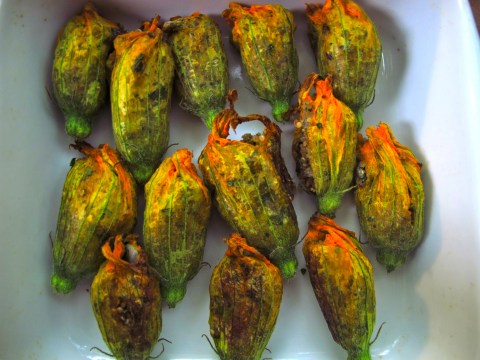 IMG_4658 vegan stuffed zucchini blossoms